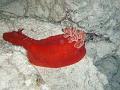 Unter_Wasser (8)